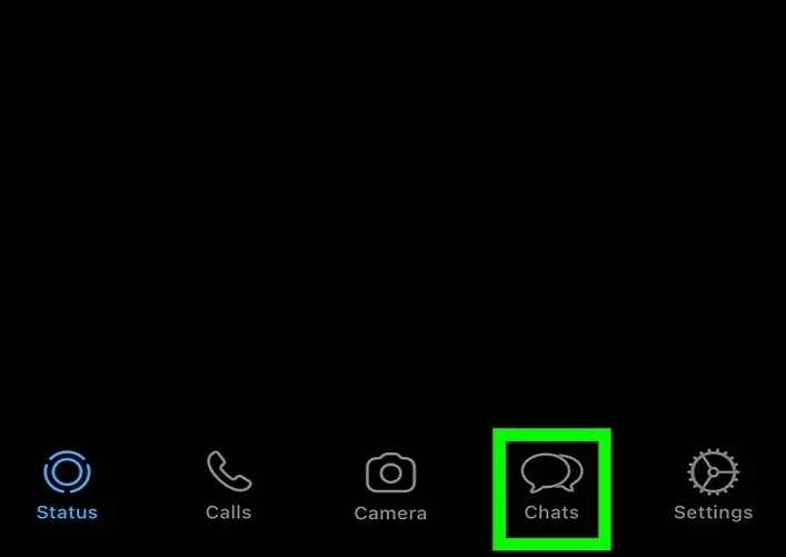 WhatsApp 聊天入口